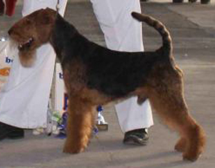 Кайзер