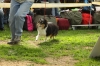 Файл: IMG_9364.jpg
Объем: 525КБ
Размеры: 1024x683
Дата: Июль 21, 2011 IMG_9364.jpg