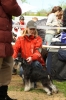 Файл: IMG_9383.jpg
Объем: 373КБ
Размеры: 683x1024
Дата: Июль 21, 2011 IMG_9383.jpg