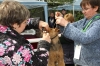 Файл: IMG_9495.jpg
Объем: 529КБ
Размеры: 1024x683
Дата: Июль 21, 2011 IMG_9495.jpg