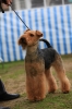 Файл: IMG_2199.JPG
Объем: 4996КБ
Размеры: 3744x5616
Дата: Авг 07, 2012 IMG_2199.JPG