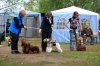 Файл: IMG_2606.JPG
Объем: 7451КБ
Размеры: 5616x3744
Дата: Авг 07, 2012 IMG_2606.JPG