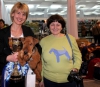 Файл: 2.jpg
Объем: 446КБ
Размеры: 881x768
Дата: Фев 19, 2014 2.jpg