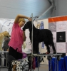 Файл: SAM_3505.JPG
Объем: 362КБ
Размеры: 768x815
Дата: Фев 19, 2014 SAM_3505.JPG