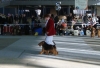 Файл: DSC00305.JPG
Объем: 79КБ
Размеры: 567x390
Дата: Июнь 05, 2009 DSC00305.JPG