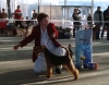 Файл: DSC00350.JPG
Объем: 92КБ
Размеры: 567x445
Дата: Июнь 05, 2009 DSC00350.JPG