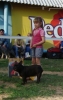 Файл: DSC00405.JPG
Объем: 77КБ
Размеры: 358x567
Дата: Июнь 05, 2009 DSC00405.JPG